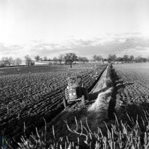 Ploughing, Spofforth